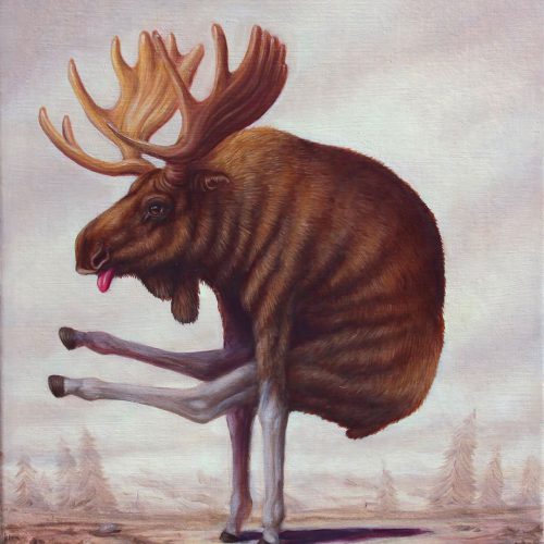 yoga-moose-1